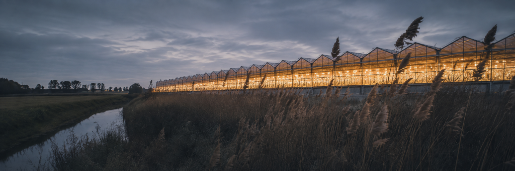 Greenhouse horticulture landscape in Oostland Zuid-Holland